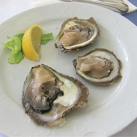 With A Fireplace 388 Casa de Férias