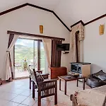 With A Fireplace 388